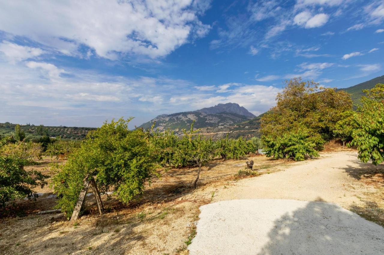 Casa Jurinea Alzar Βίλα Torres  Εξωτερικό φωτογραφία