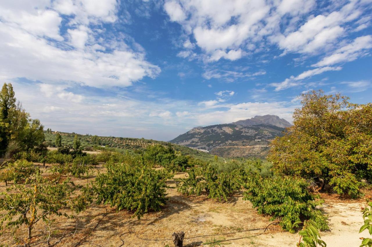 Casa Jurinea Alzar Βίλα Torres  Εξωτερικό φωτογραφία