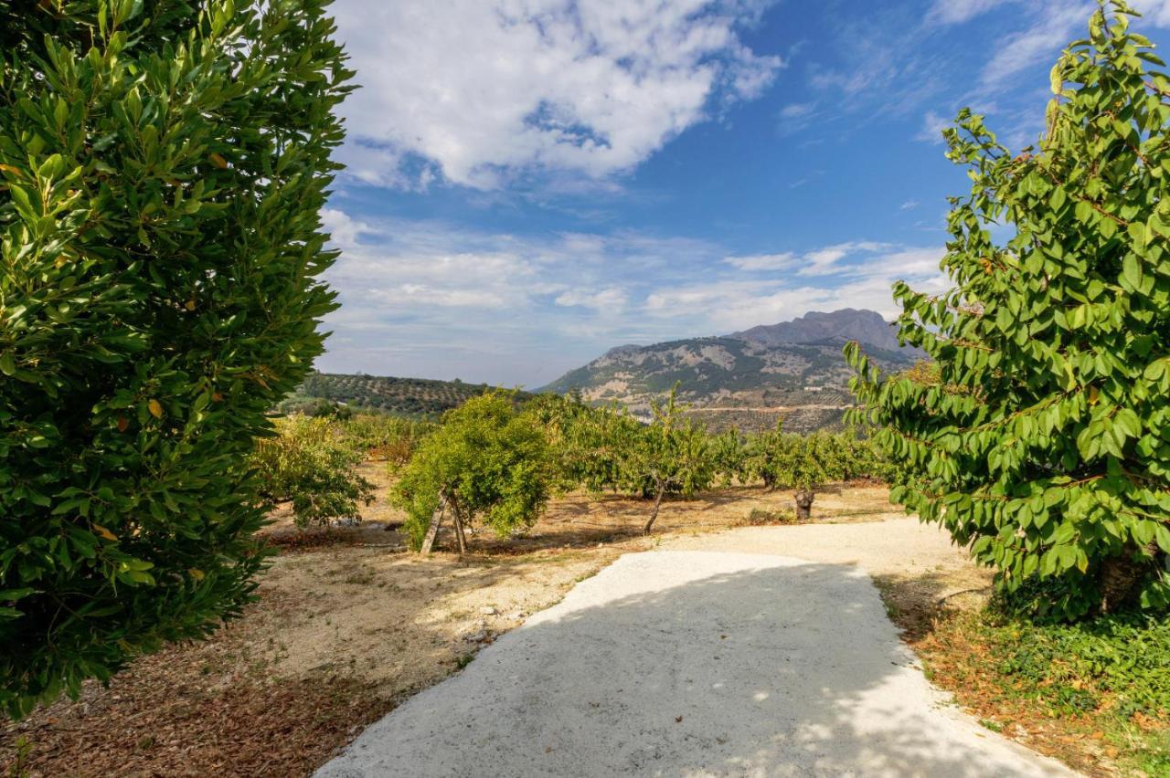 Casa Jurinea Alzar Βίλα Torres  Εξωτερικό φωτογραφία