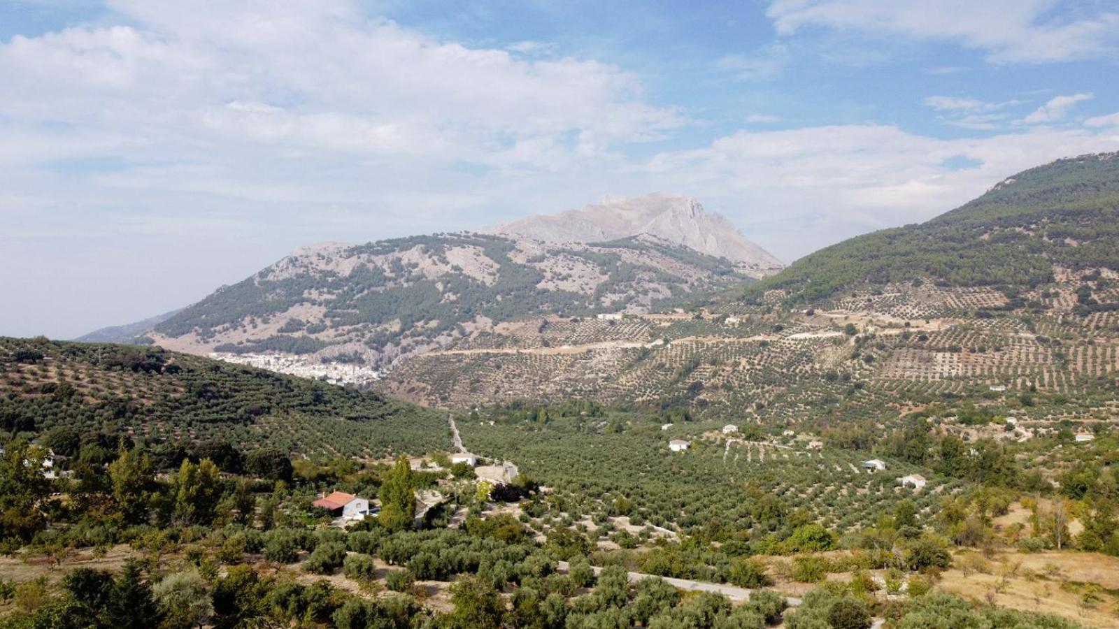 Casa Jurinea Alzar Βίλα Torres  Εξωτερικό φωτογραφία